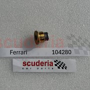 MAGNETIC THREADED PLUG M22 X 1.5 for 