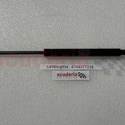 GAS STRUT DOOR for 