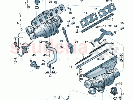 Photo of PASADOR ROSCADO…