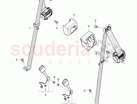 Photo of CORREA DE SUJECI N D 22 08 2016…