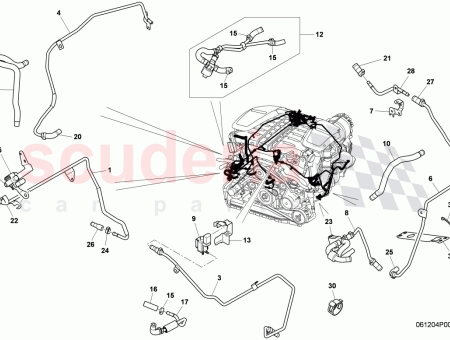 Photo of V LVULA DE VAC O…