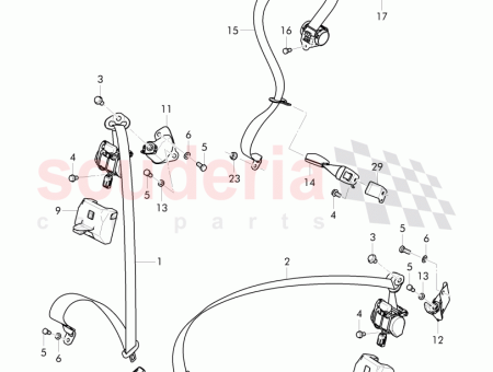 Photo of REMACHE DEL ESPARCIDOR…