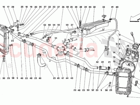 Photo of TORNILLO…