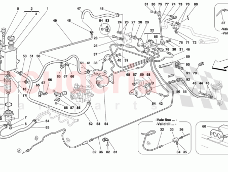 Photo of TUBER A DE LA V LVULA A LA…