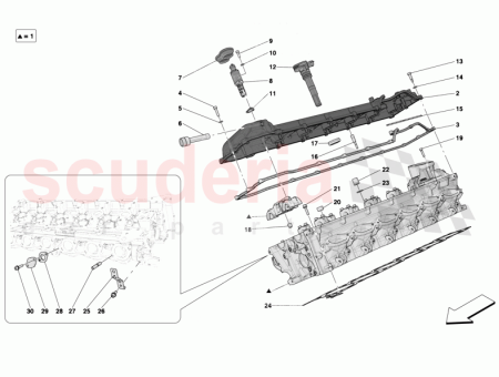 Photo of TORNILLO…