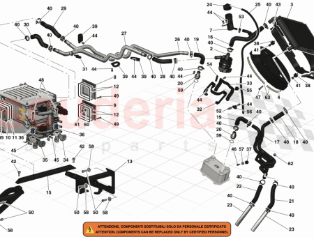 Photo of CALZA DE GOMA…