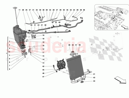Photo of TORNILLO…