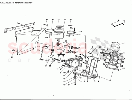 Photo of TORNILLO…