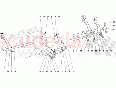 Photo of TORNILLO…