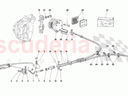 Photo of TORNILLO…