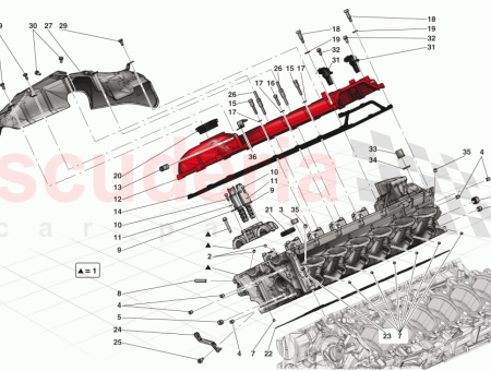 Photo of CABEZA LATERAL DERECHA…