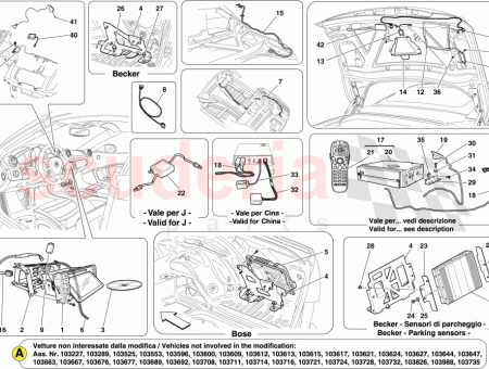 Photo of NIT COMPLETO…