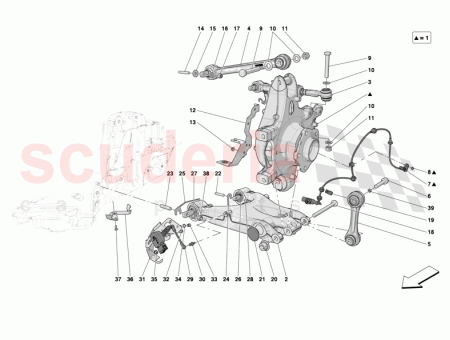 Photo of TORNILLO…