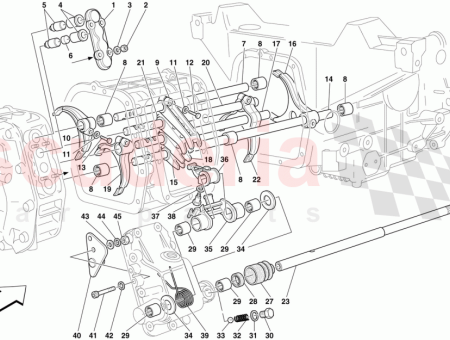 Photo of ARANDELA…