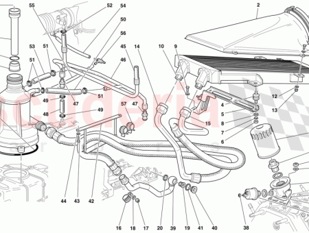 Photo of TUBER A DE CONEXI N DE LA MARIPOSA…