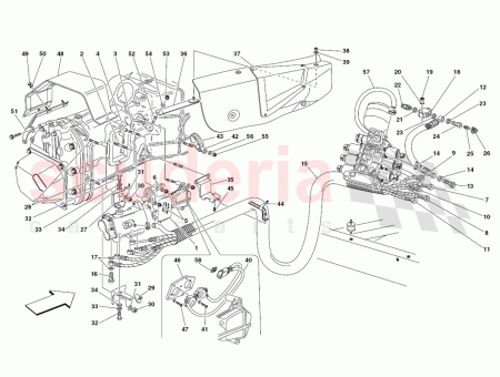 Photo of ARANDELA…