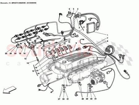 Photo of TORNILLO…