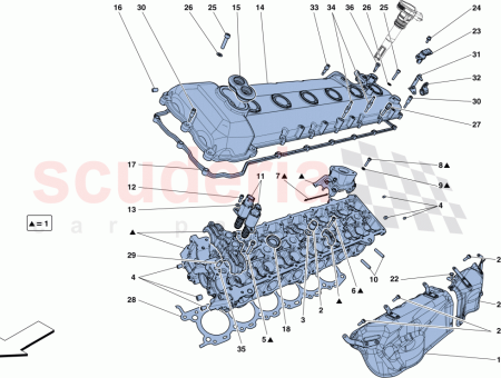 Photo of PERNO DEL ESP RRAGO…