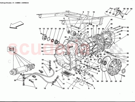 Photo of TAP N ROSCADO…