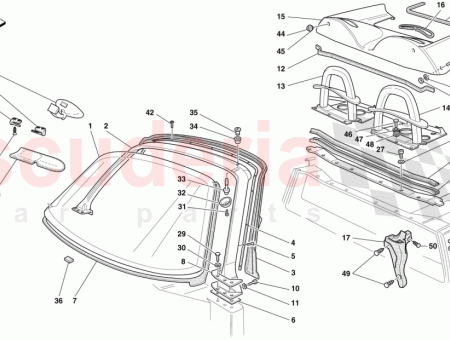 Photo of TORNILLO…