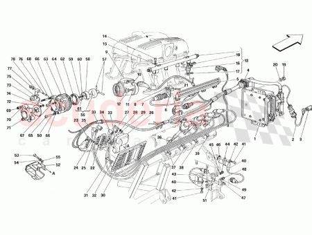 Photo of PERNO DEL ESP RRAGO…