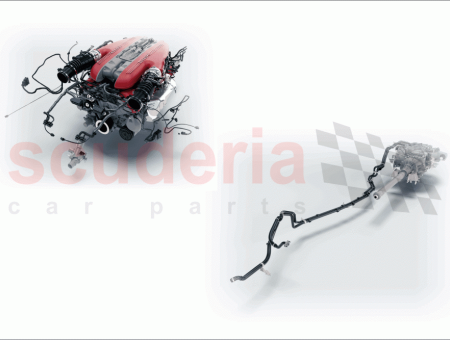 Photo of BLOQUE CORTO…