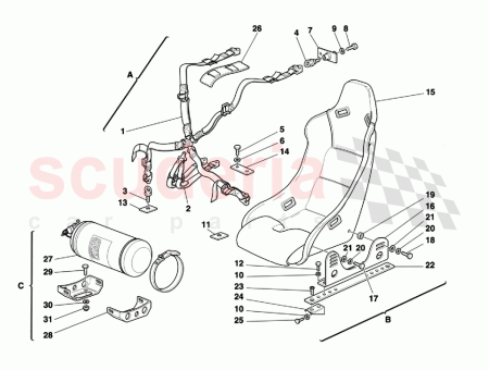 Photo of TORNILLO…