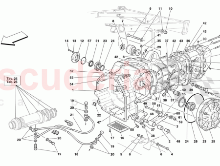 Photo of TORNILLO…