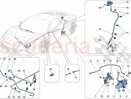 Photo of MANGUITO OVALADO…