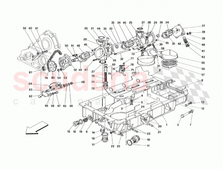 Photo of PERNO DEL ESP RRAGO…