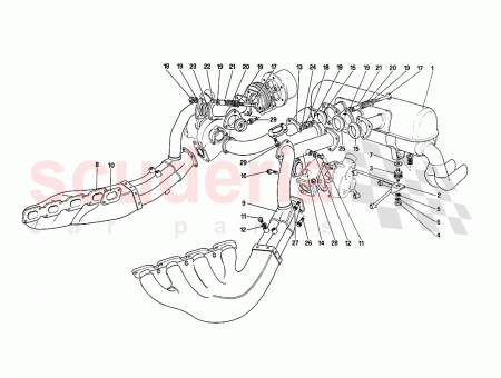 Photo of TORNILLO…