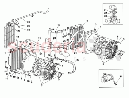 Photo of TORNILLO…