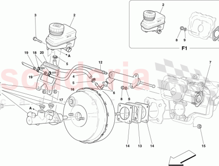 Photo of CALZA DE GOMA…