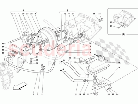 Photo of PROTECCI N BOTA…