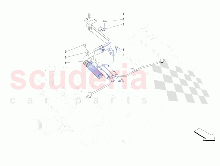 Photo of TORNILLO…