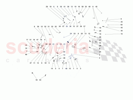 Photo of TORNILLO…