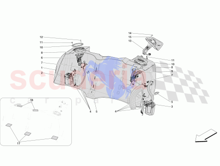 Photo of TORNILLO…