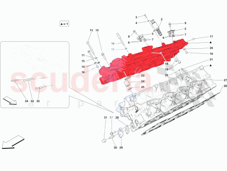 Photo of PERNO DEL ESP RRAGO…