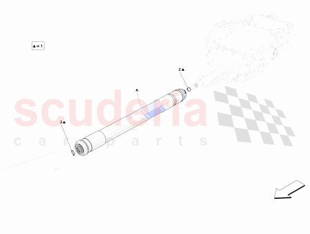 Photo of COLLAR DE GRAPAS…