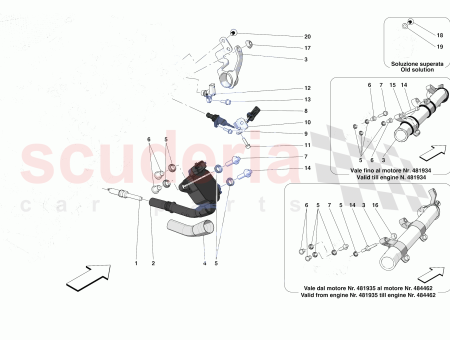 Photo of PERNO DEL ESP RRAGO…
