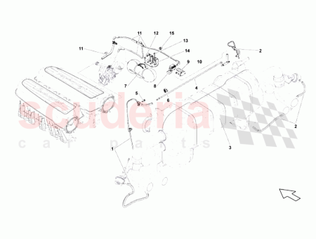 Photo of MANGUERA…