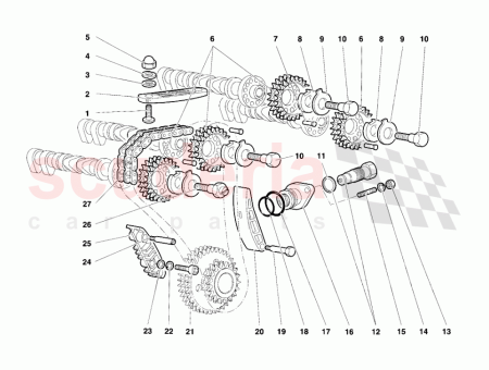 Photo of TORNILLO…