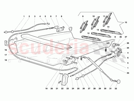 Photo of TORNILLO…