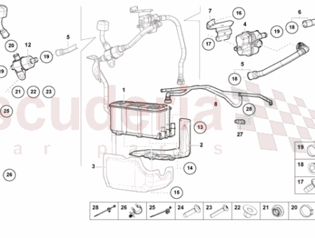 Photo of MANGUERA…
