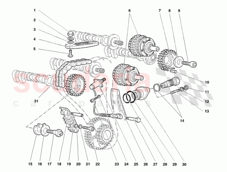 Photo of TORNILLO…