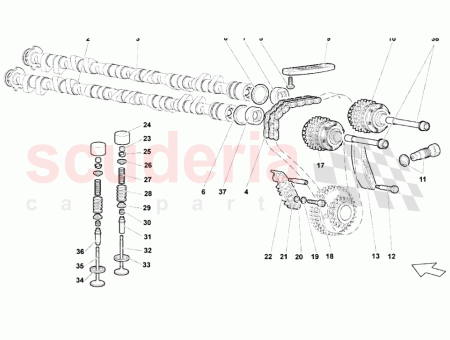 Photo of RBOL DE LEVAS DE ESCAPE…