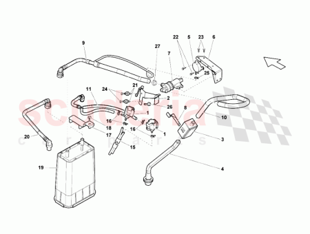 Photo of TORNILLO…