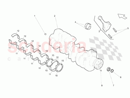 Photo of CRANQUILLA…