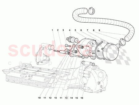Photo of TORNILLO…