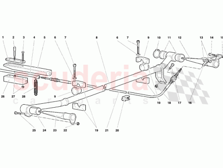 Photo of TORNILLO…